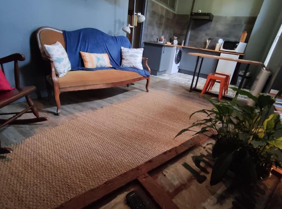 Studio 1 Chambre Ideal Salaries Nomades Монтобан Екстериор снимка